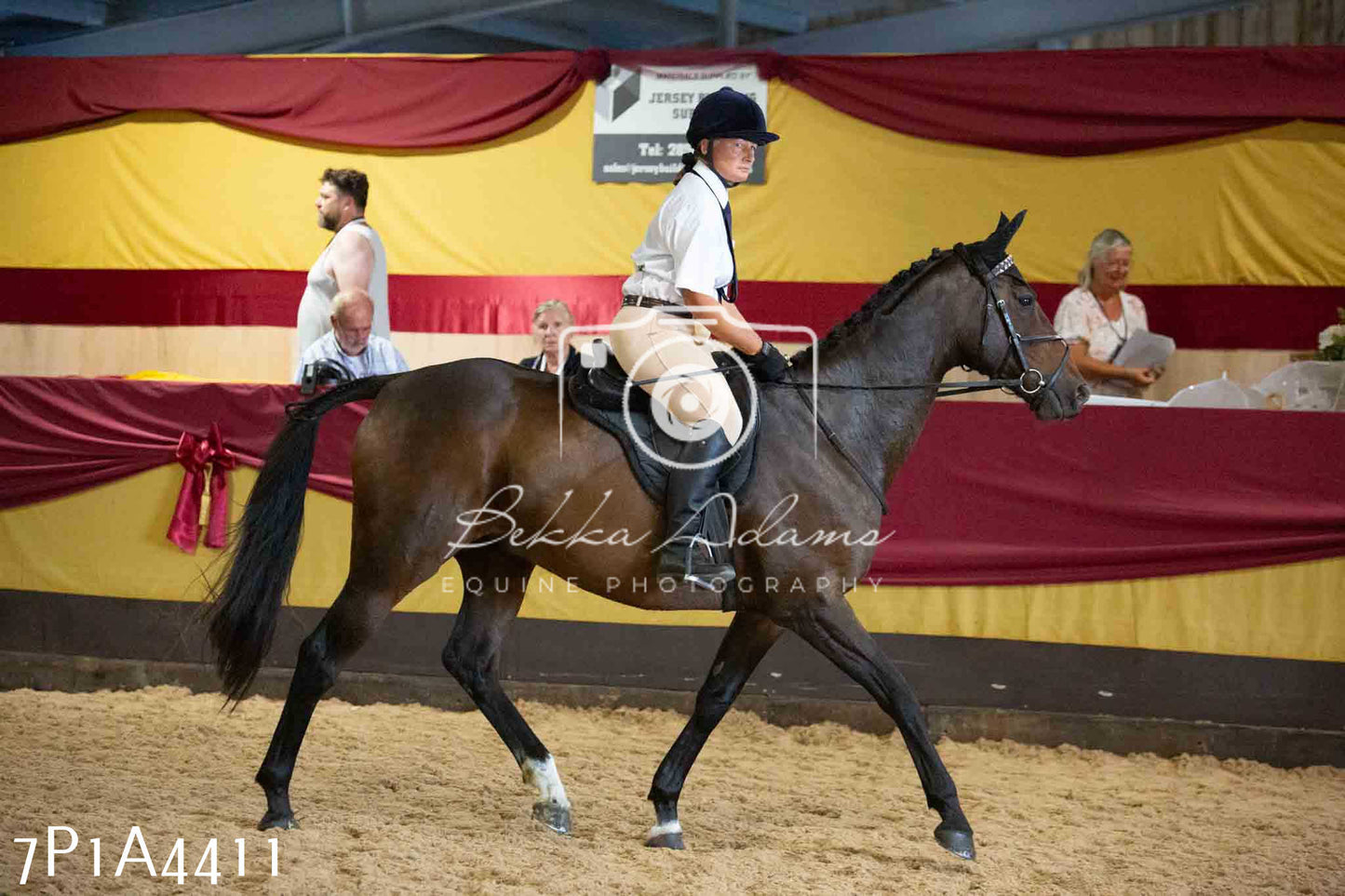 JHOYS 2023 - 9th September - Inhand Showing Pt2