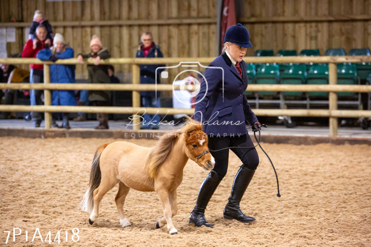 Home Farm Christmas Show 2024 - Inhand