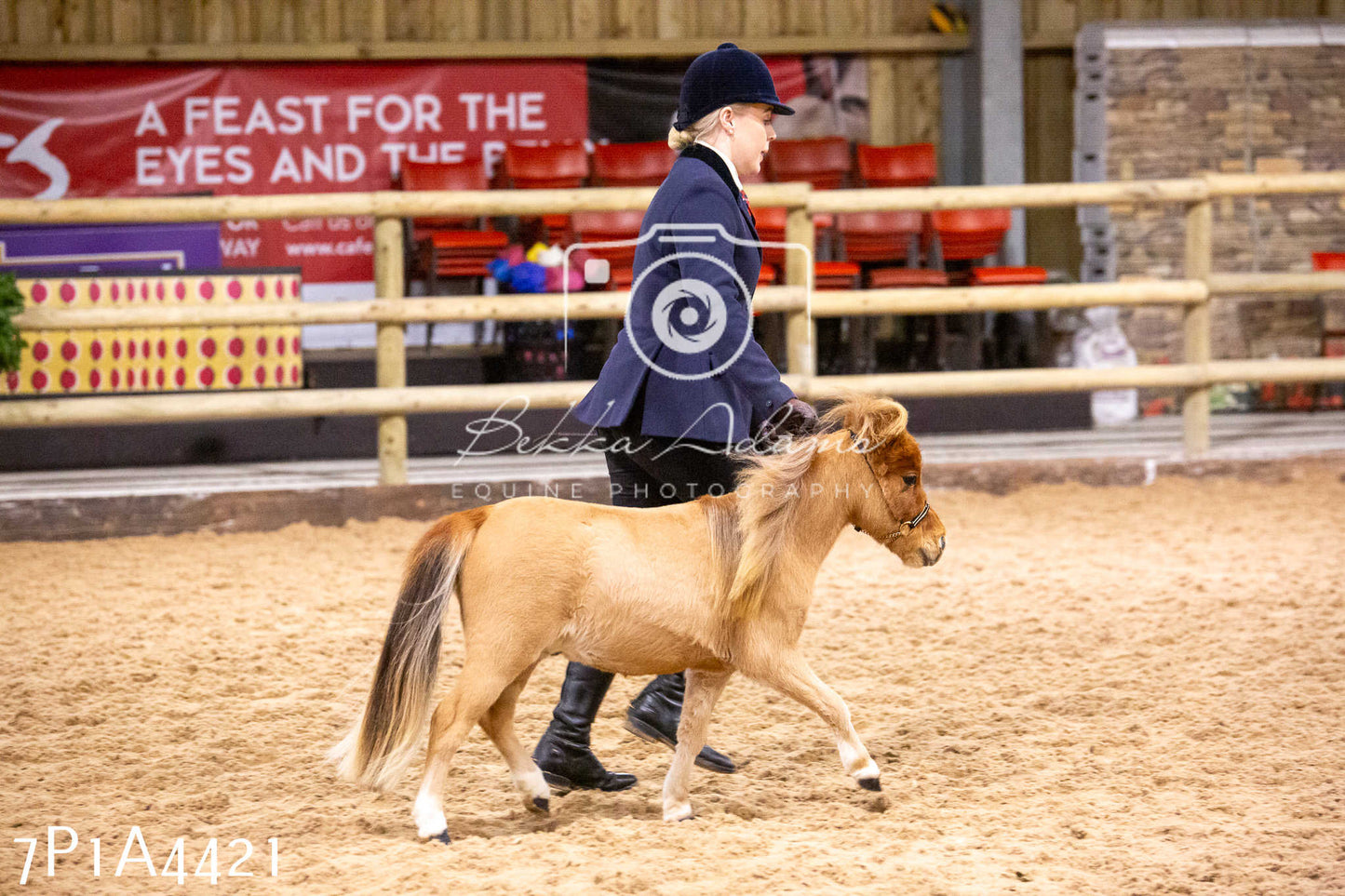 Home Farm Christmas Show 2024 - Inhand