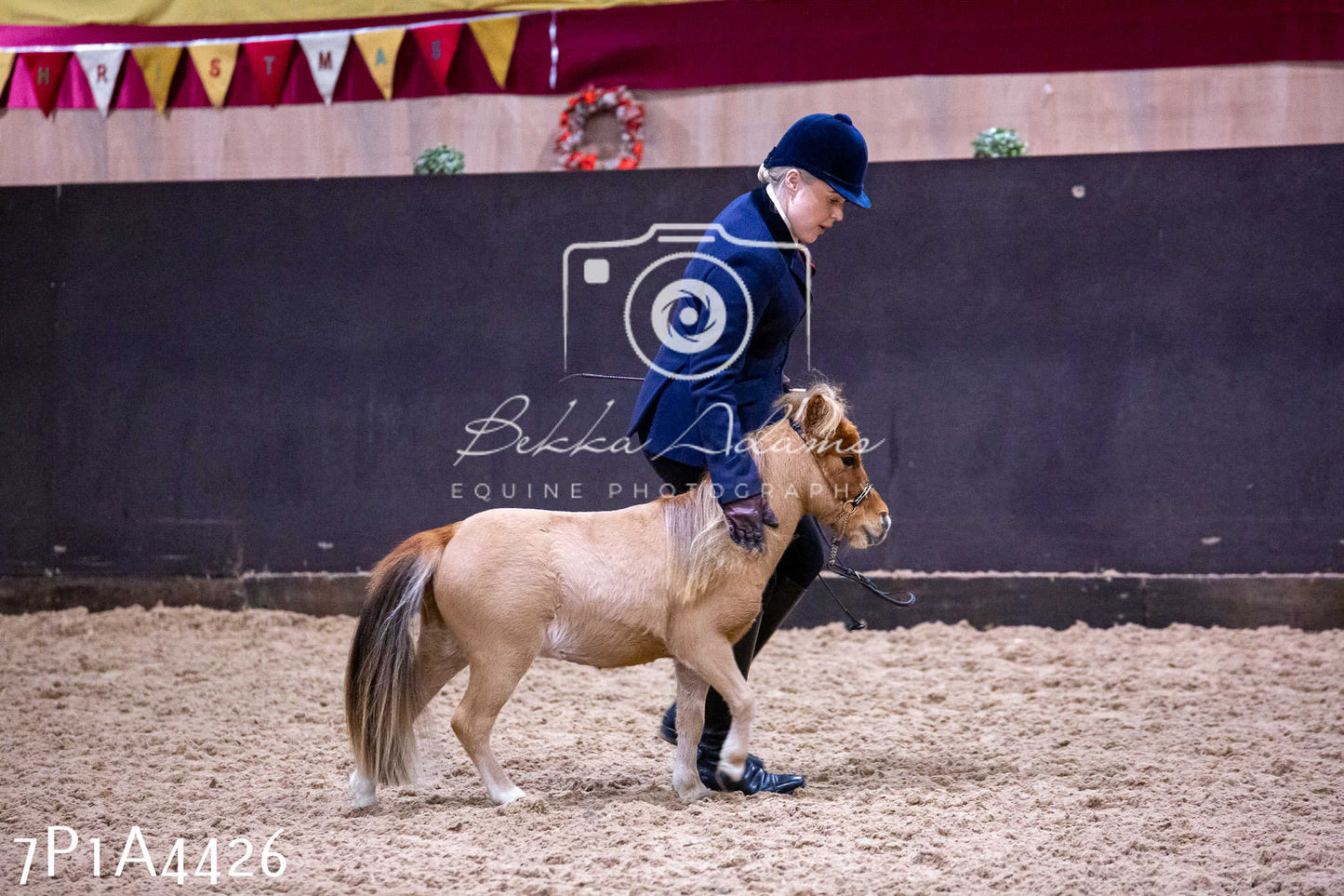 Home Farm Christmas Show 2024 - Inhand