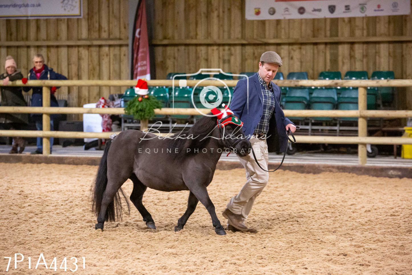 Home Farm Christmas Show 2024 - Inhand
