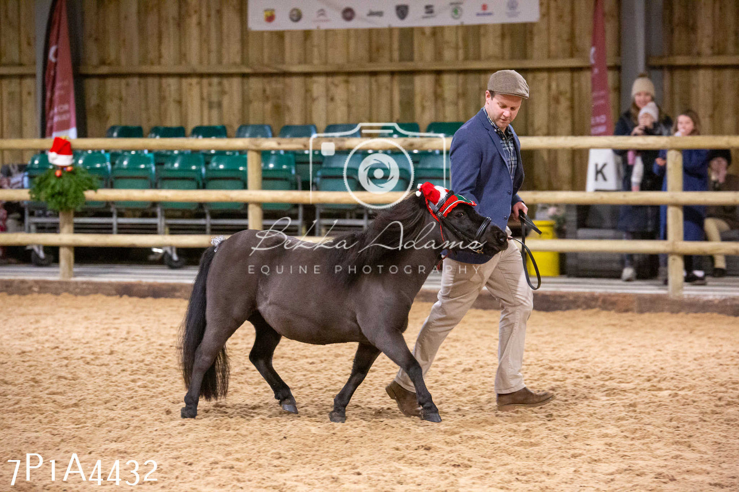 Home Farm Christmas Show 2024 - Inhand