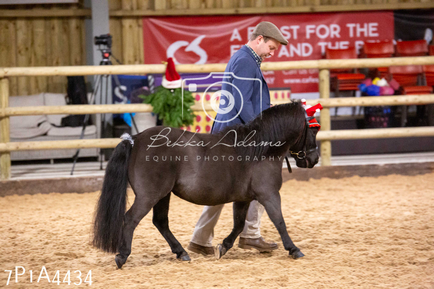 Home Farm Christmas Show 2024 - Inhand