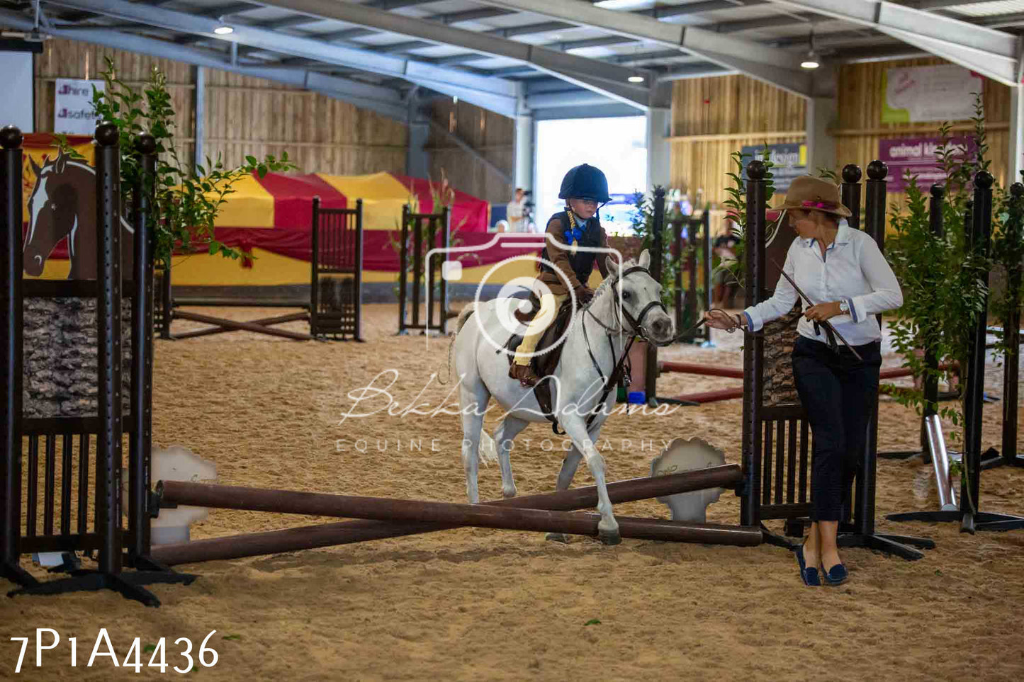 JHOYS 2023 - 9th September - Working Hunter
