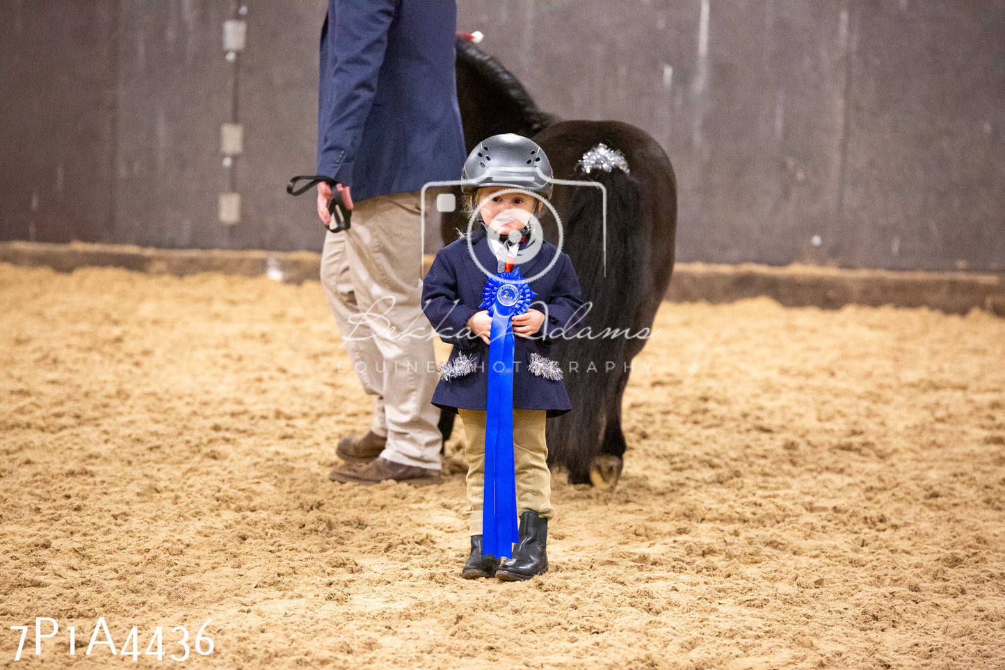 Home Farm Christmas Show 2024 - Inhand
