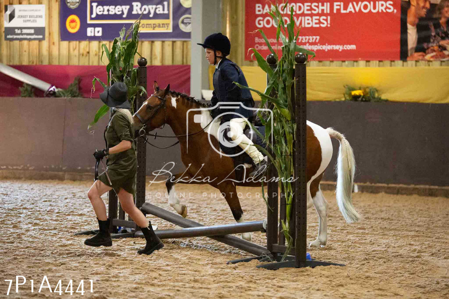 JHOYS 2023 - 9th September - Working Hunter