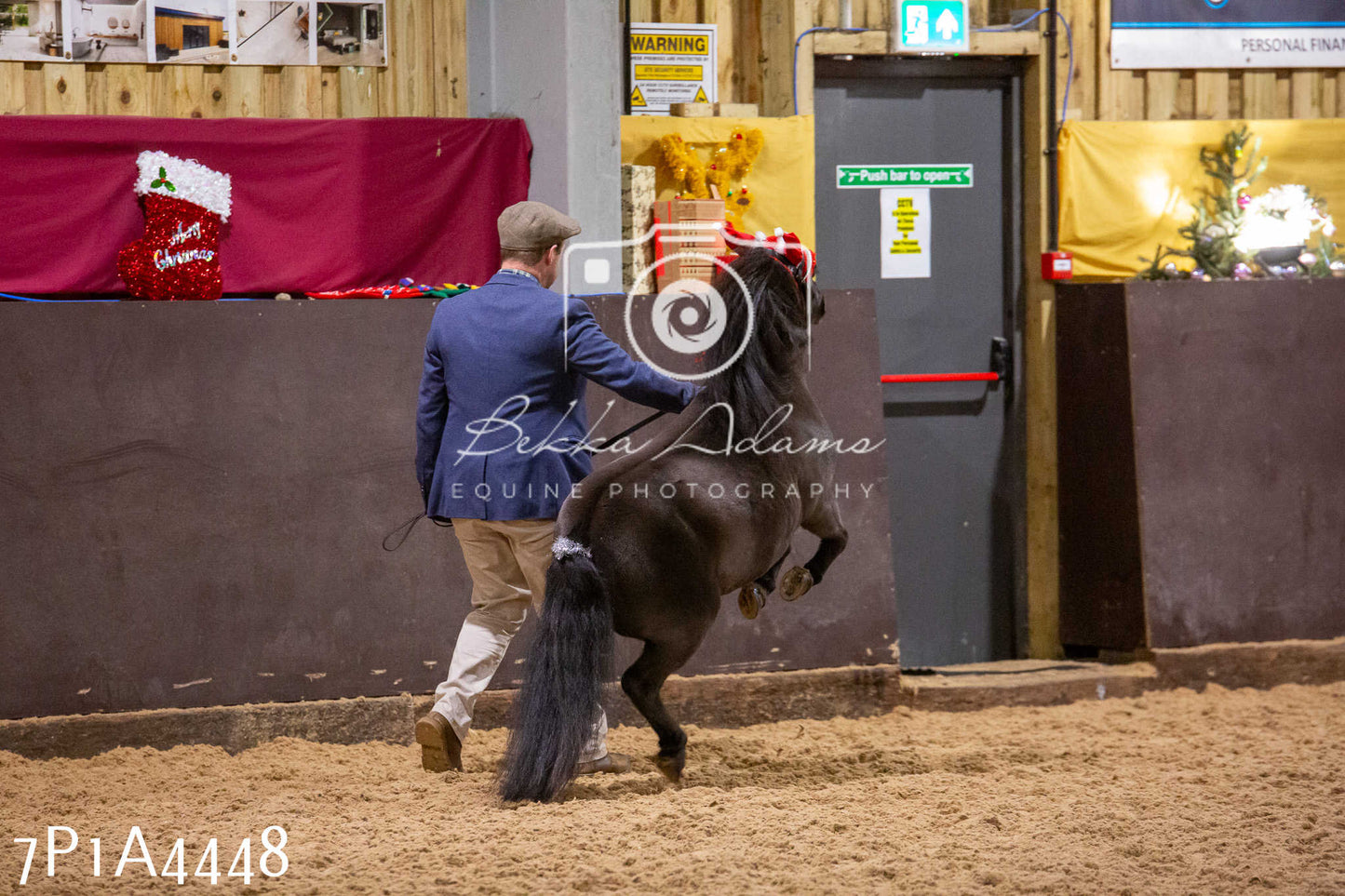 Home Farm Christmas Show 2024 - Inhand