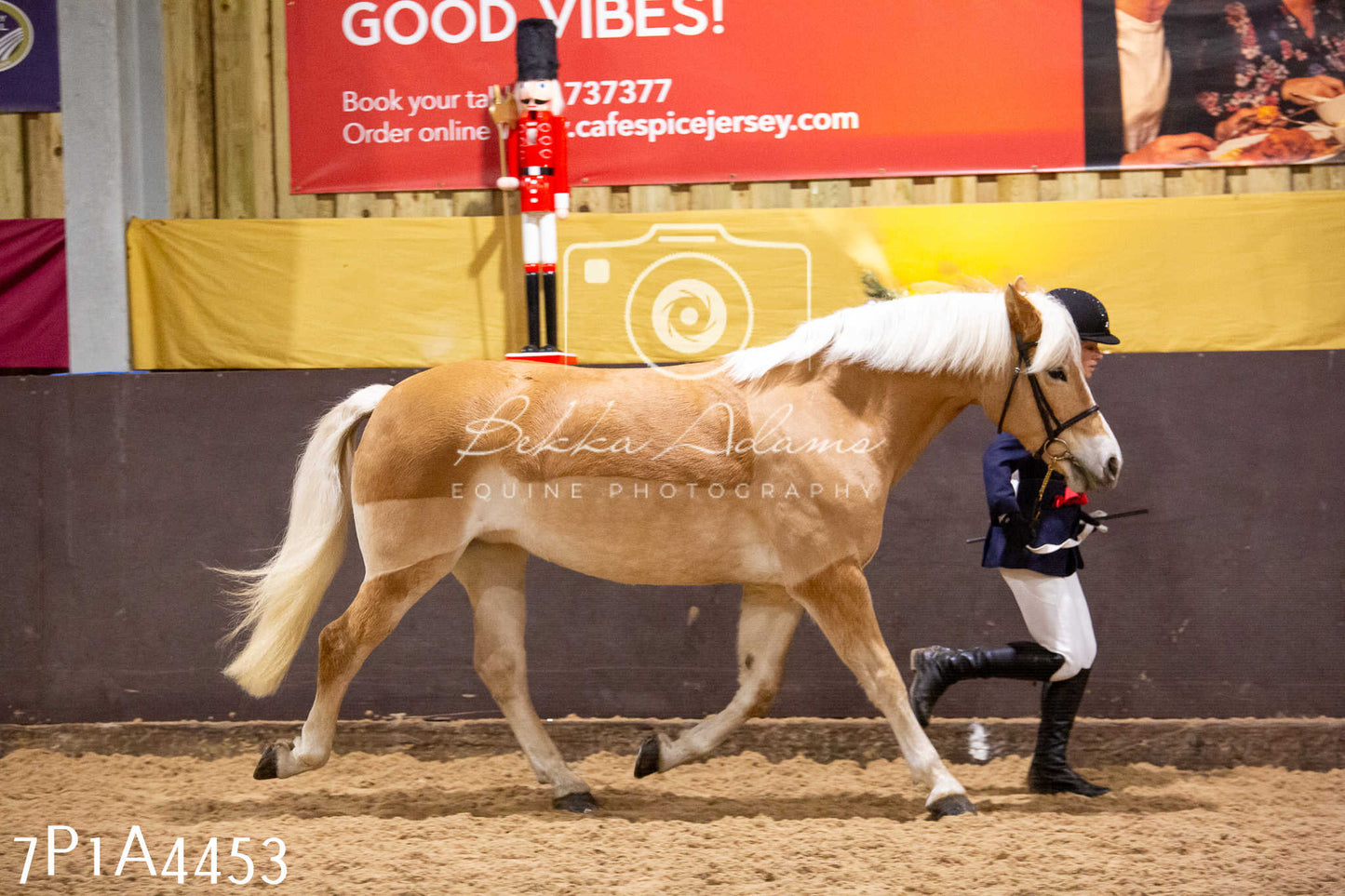 Home Farm Christmas Show 2024 - Inhand