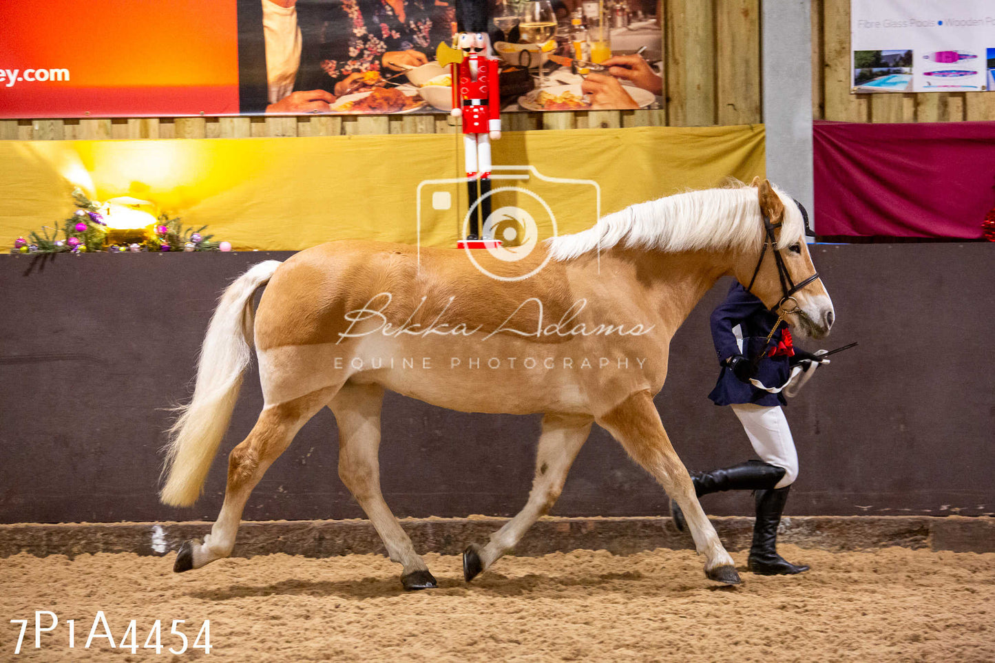 Home Farm Christmas Show 2024 - Inhand