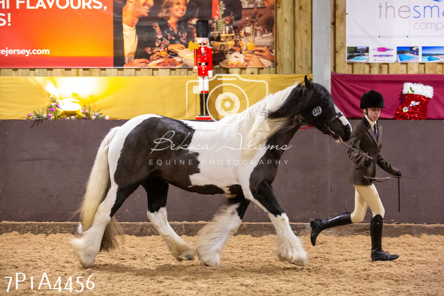 Home Farm Christmas Show 2024 - Inhand