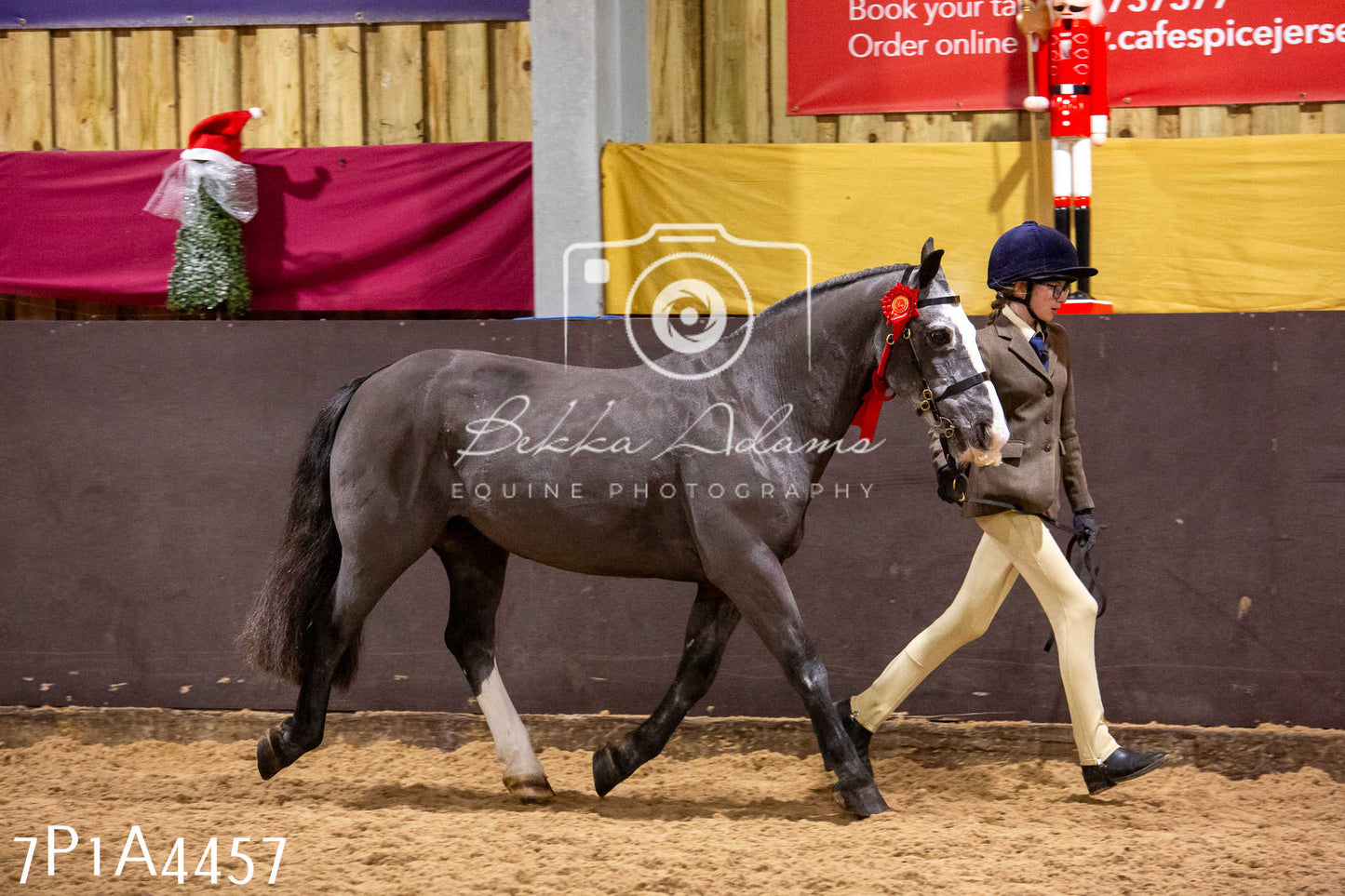 Home Farm Christmas Show 2024 - Inhand