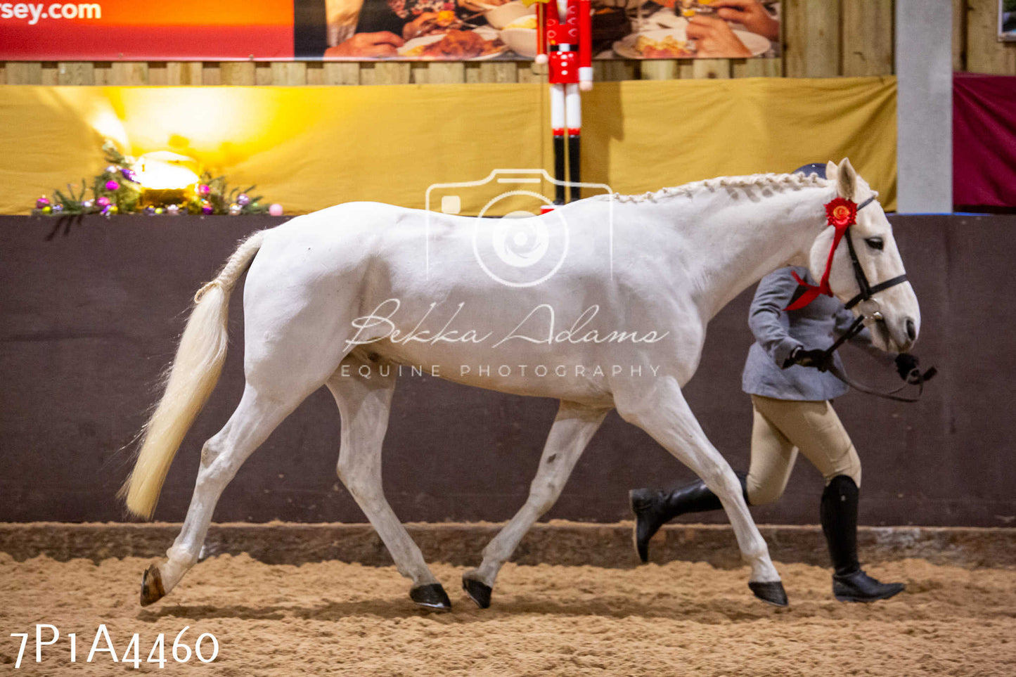 Home Farm Christmas Show 2024 - Inhand