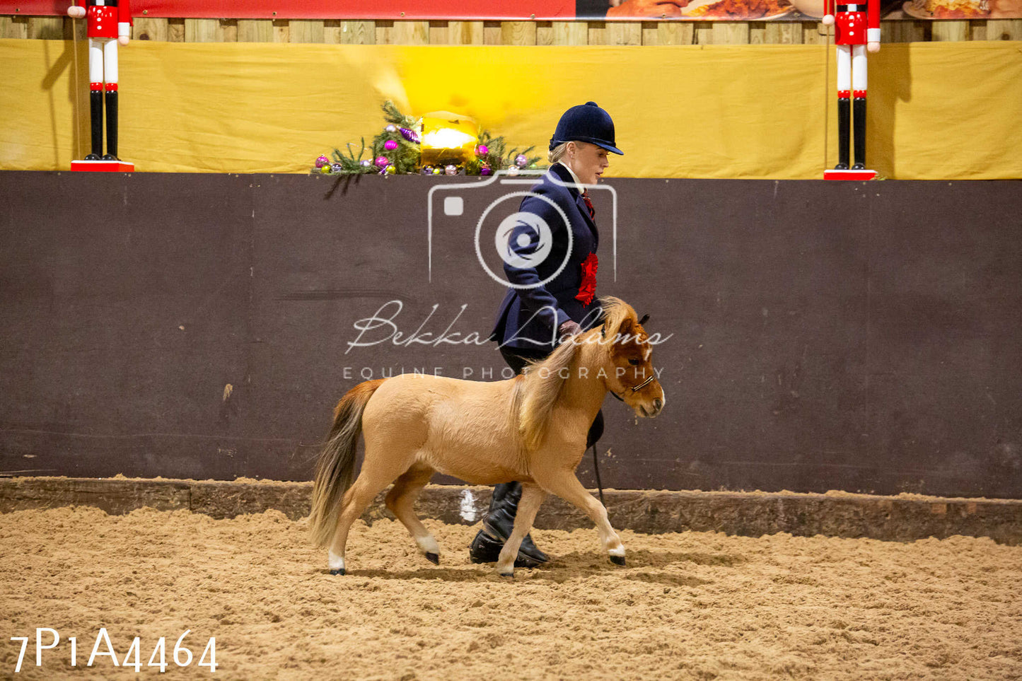 Home Farm Christmas Show 2024 - Inhand