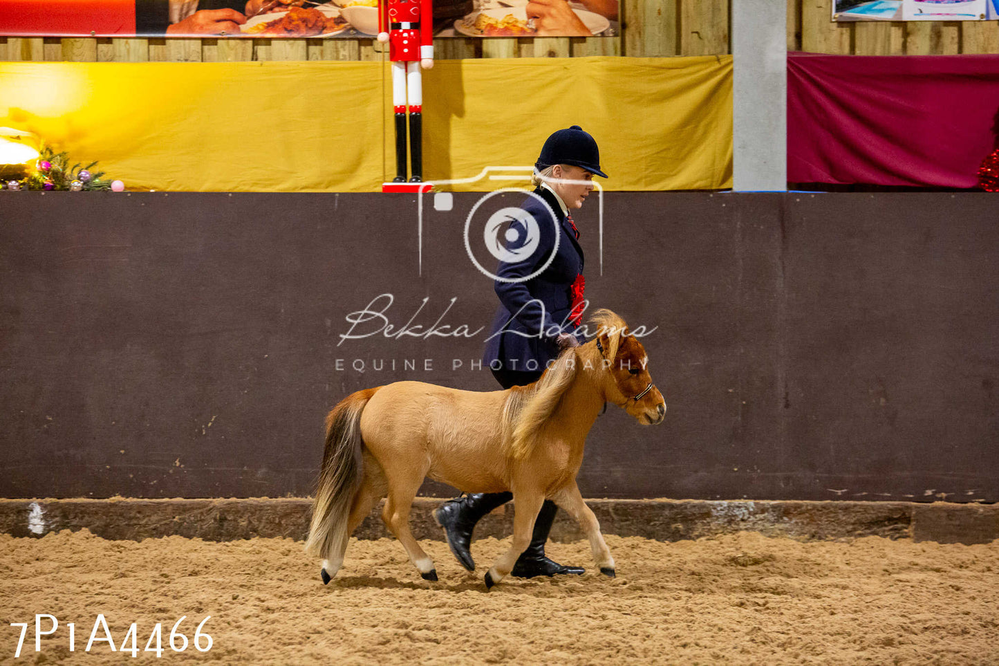Home Farm Christmas Show 2024 - Inhand