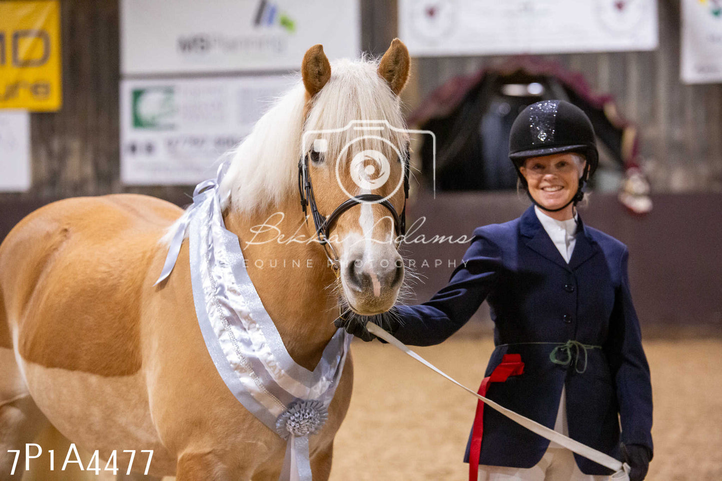 Home Farm Christmas Show 2024 - Inhand