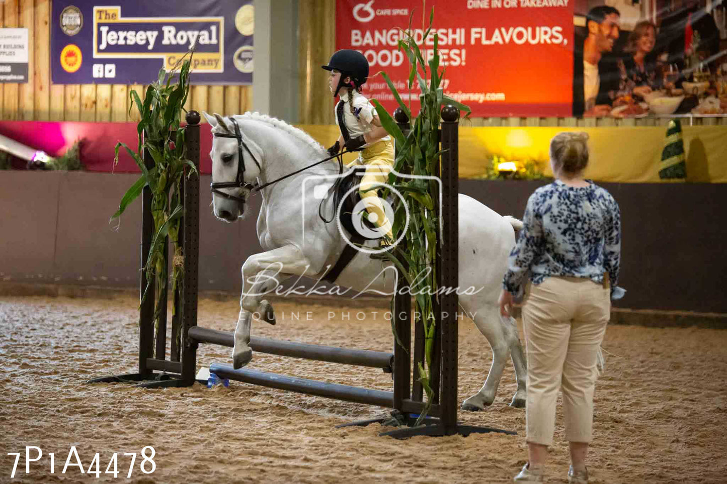 JHOYS 2023 - 9th September - Working Hunter