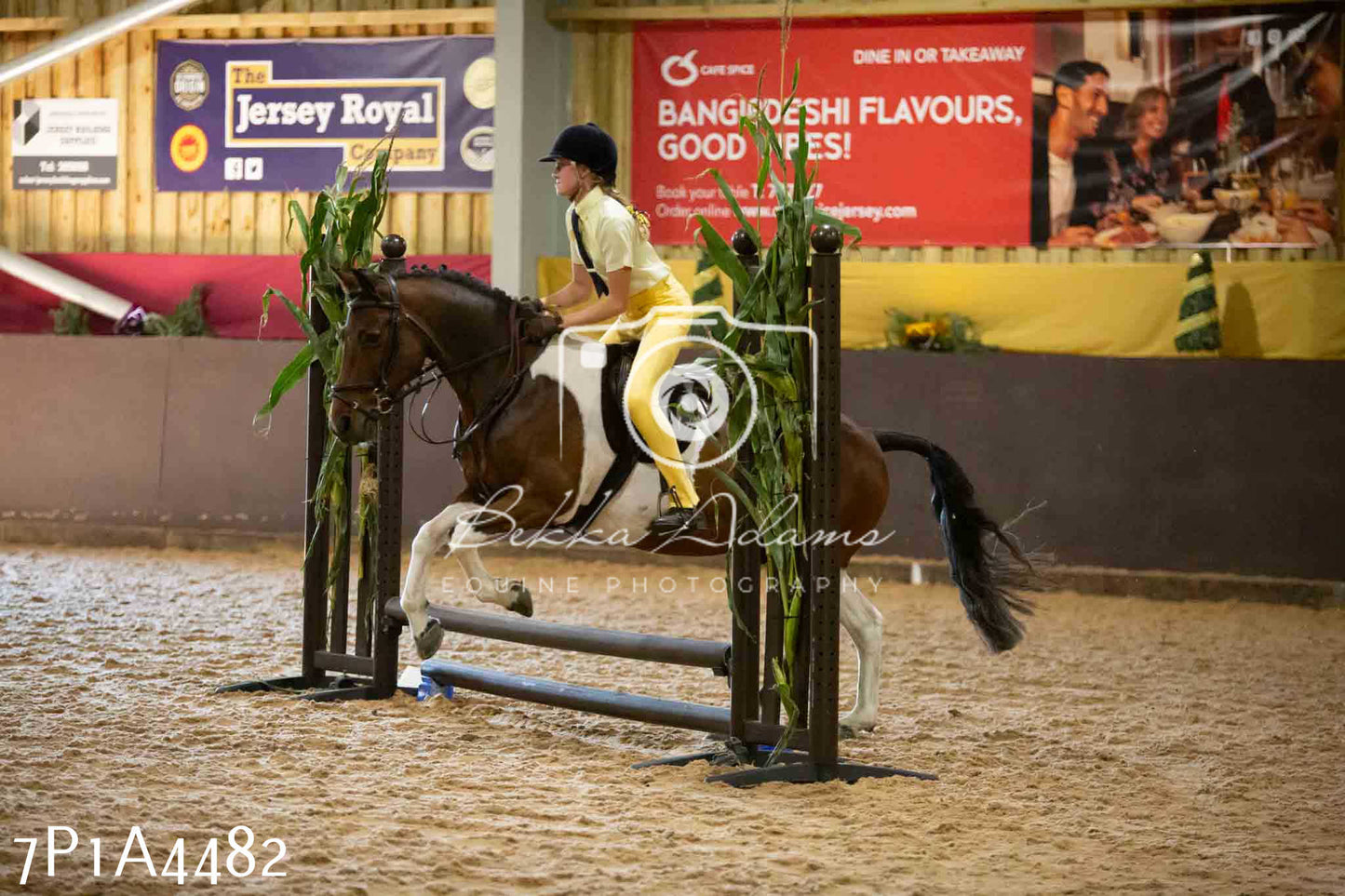 JHOYS 2023 - 9th September - Working Hunter