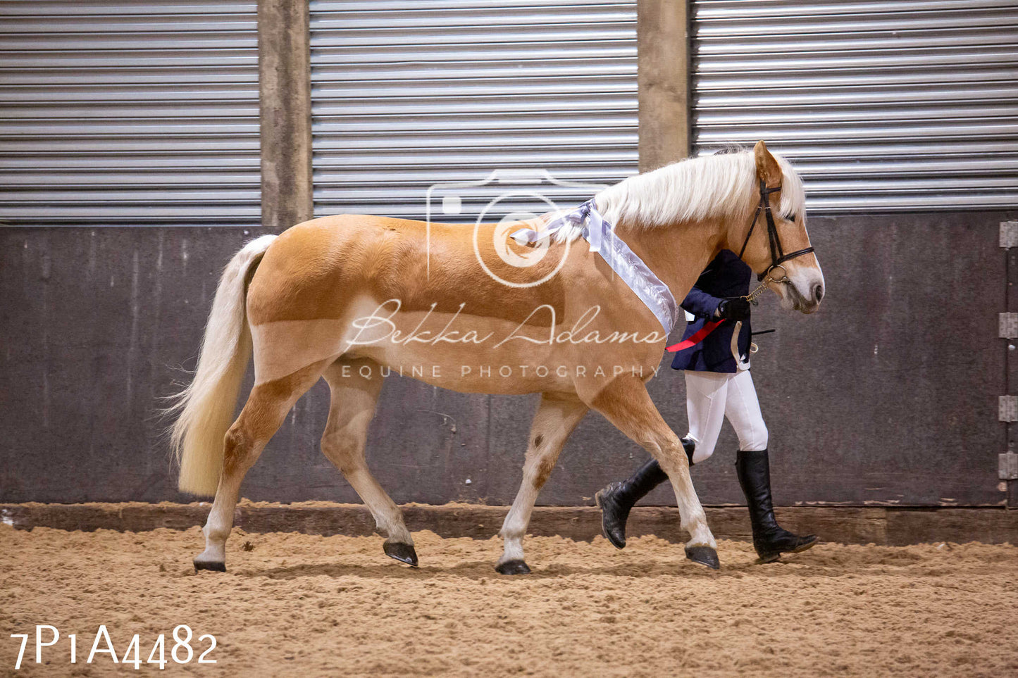 Home Farm Christmas Show 2024 - Inhand