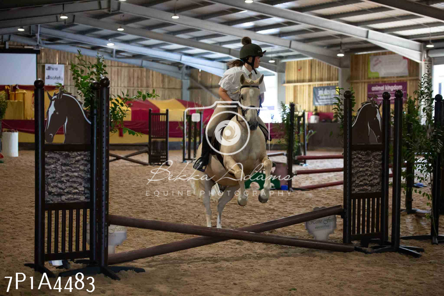 JHOYS 2023 - 9th September - Working Hunter