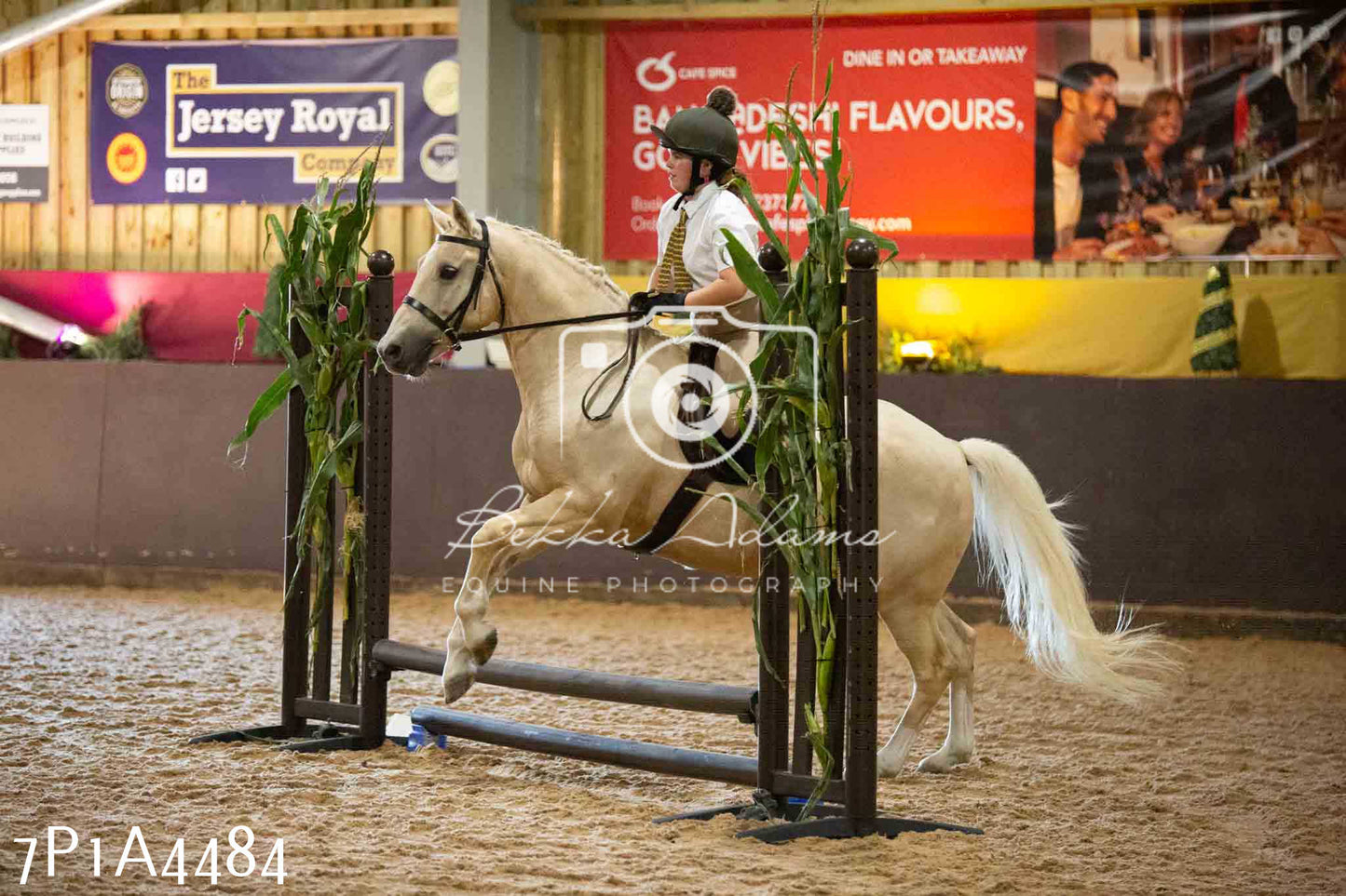 JHOYS 2023 - 9th September - Working Hunter