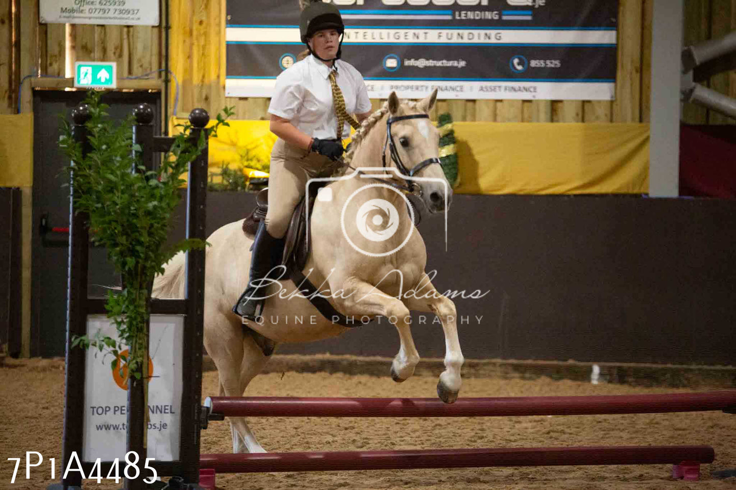 JHOYS 2023 - 9th September - Working Hunter