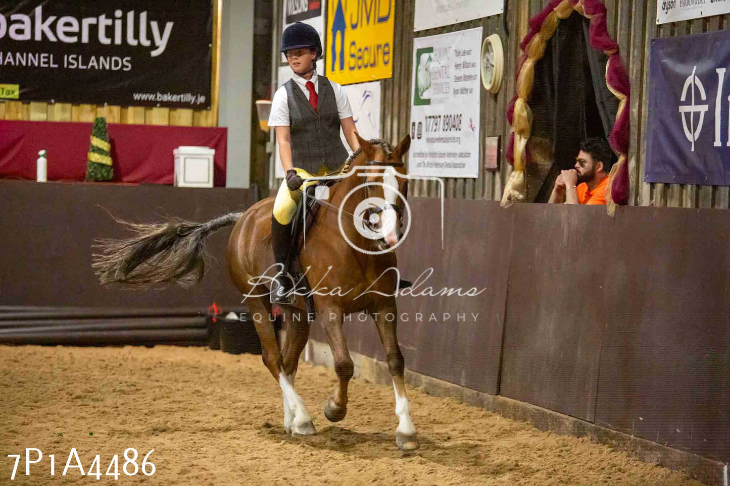 JHOYS 2023 - 9th September - Working Hunter