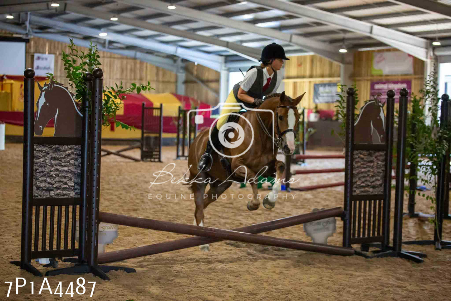 JHOYS 2023 - 9th September - Working Hunter