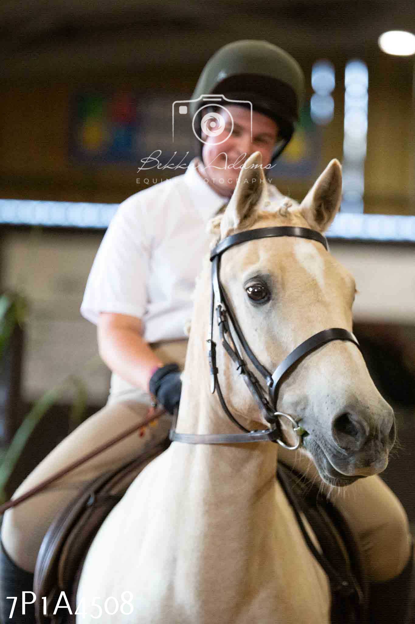 JHOYS 2023 - 9th September - Working Hunter