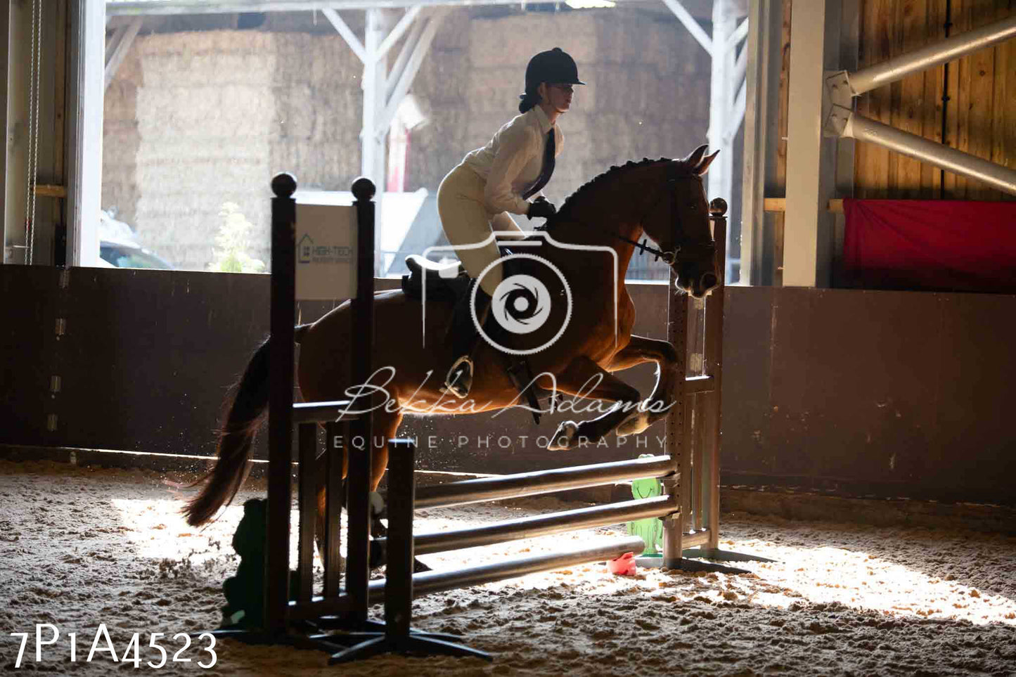 JHOYS 2023 - 9th September - Working Hunter