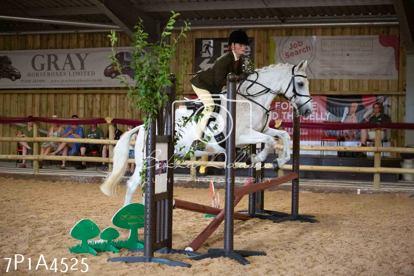 JHOYS 2023 - 9th September - Working Hunter