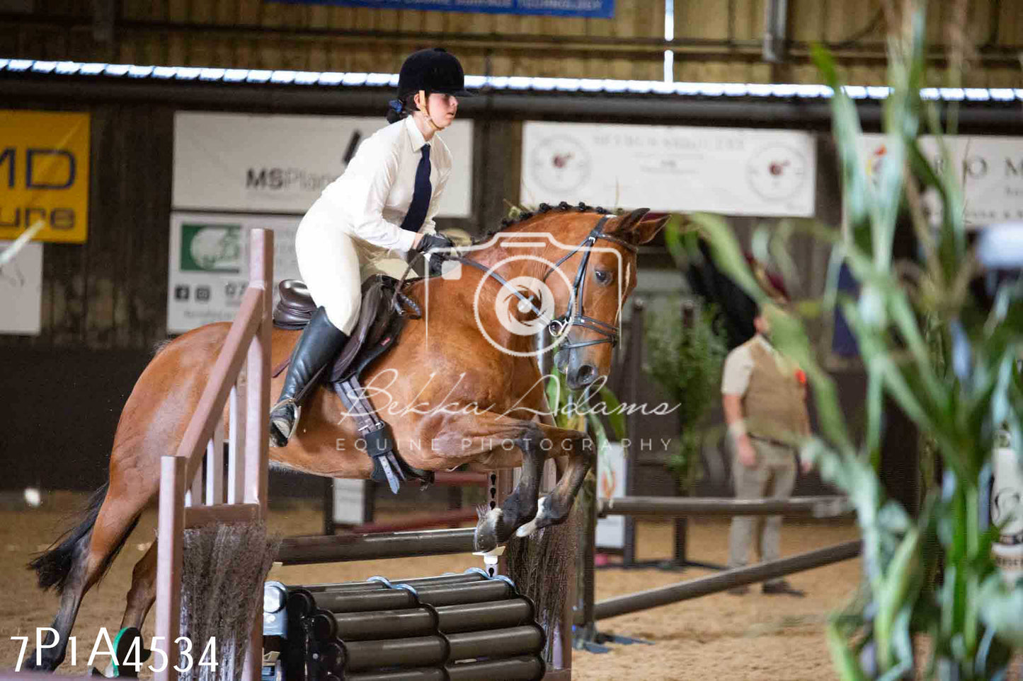 JHOYS 2023 - 9th September - Working Hunter