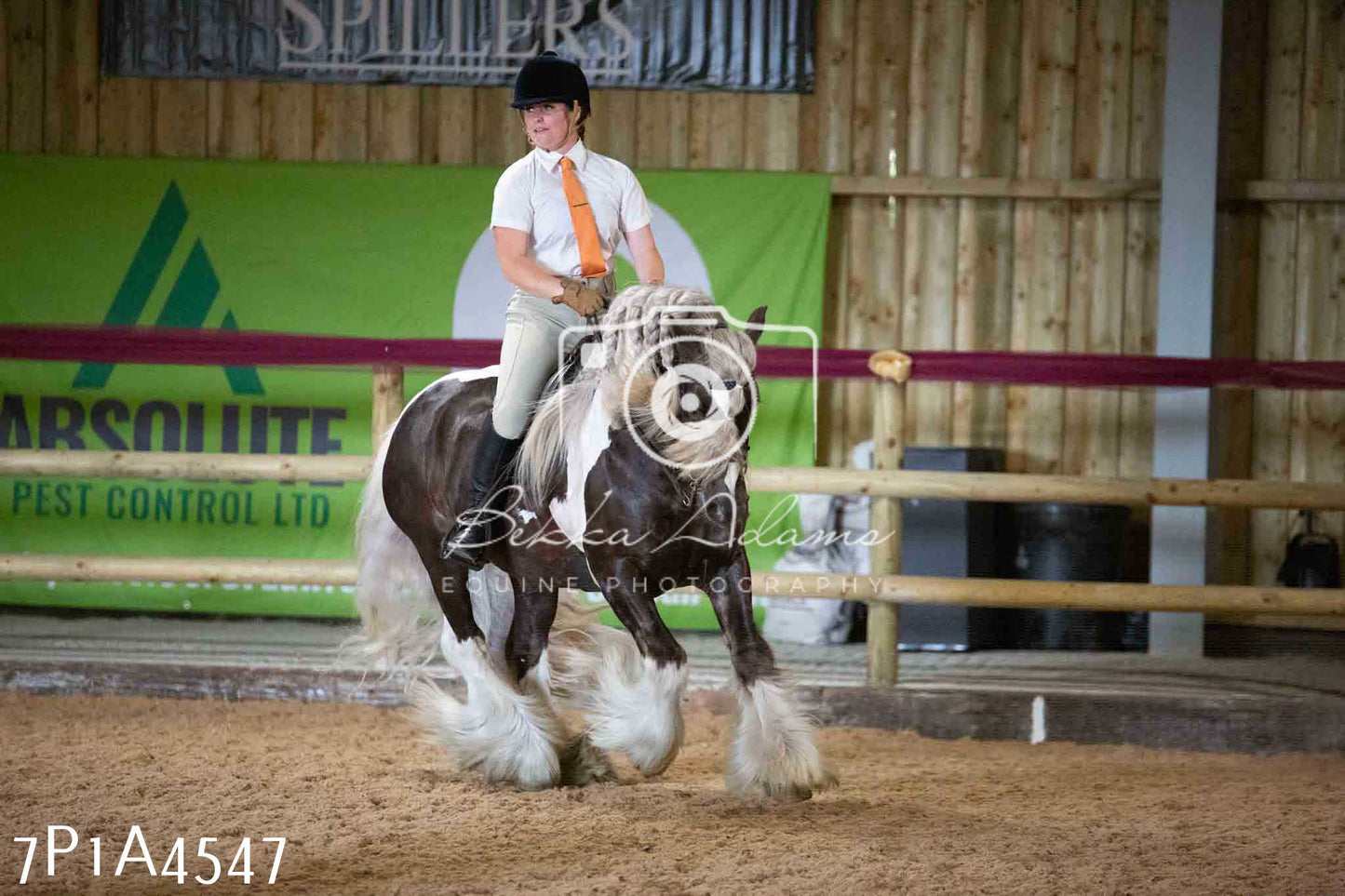 JHOYS 2023 - 9th September - Working Hunter