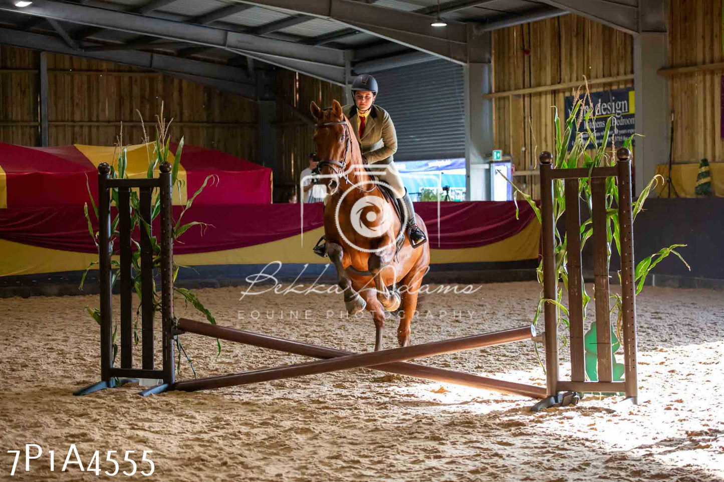 JHOYS 2023 - 9th September - Working Hunter