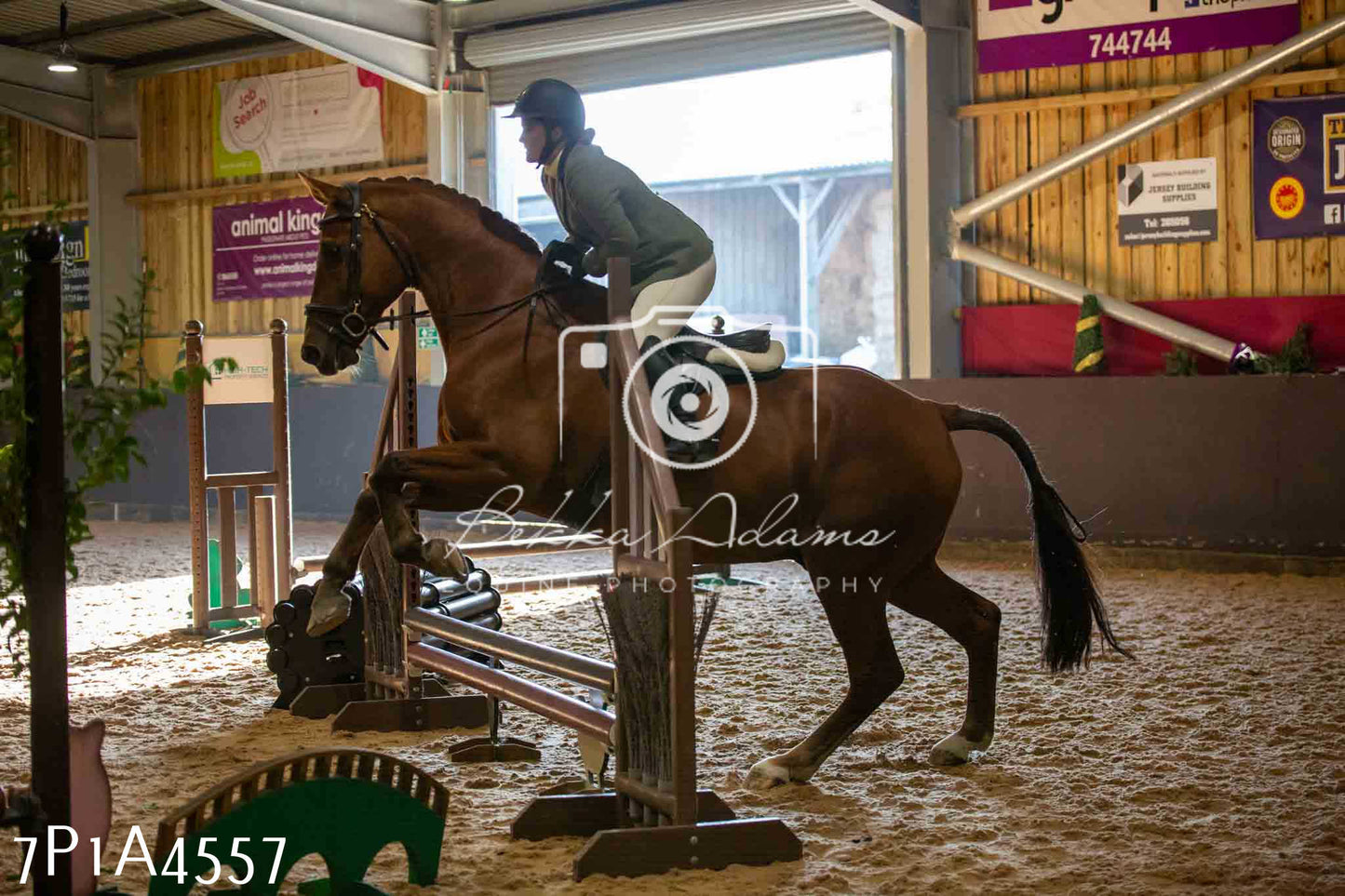 JHOYS 2023 - 9th September - Working Hunter