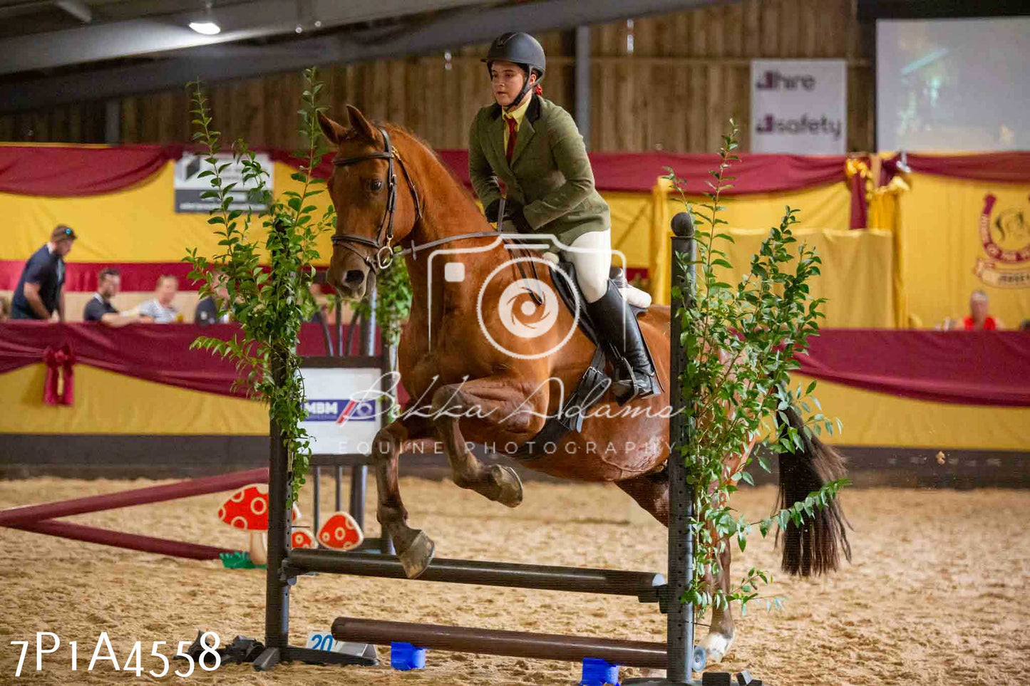 JHOYS 2023 - 9th September - Working Hunter