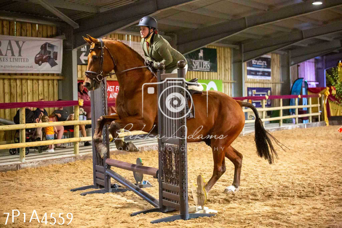 JHOYS 2023 - 9th September - Working Hunter
