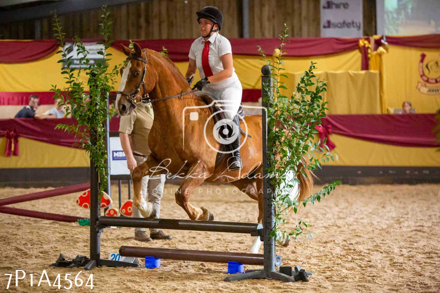 JHOYS 2023 - 9th September - Working Hunter