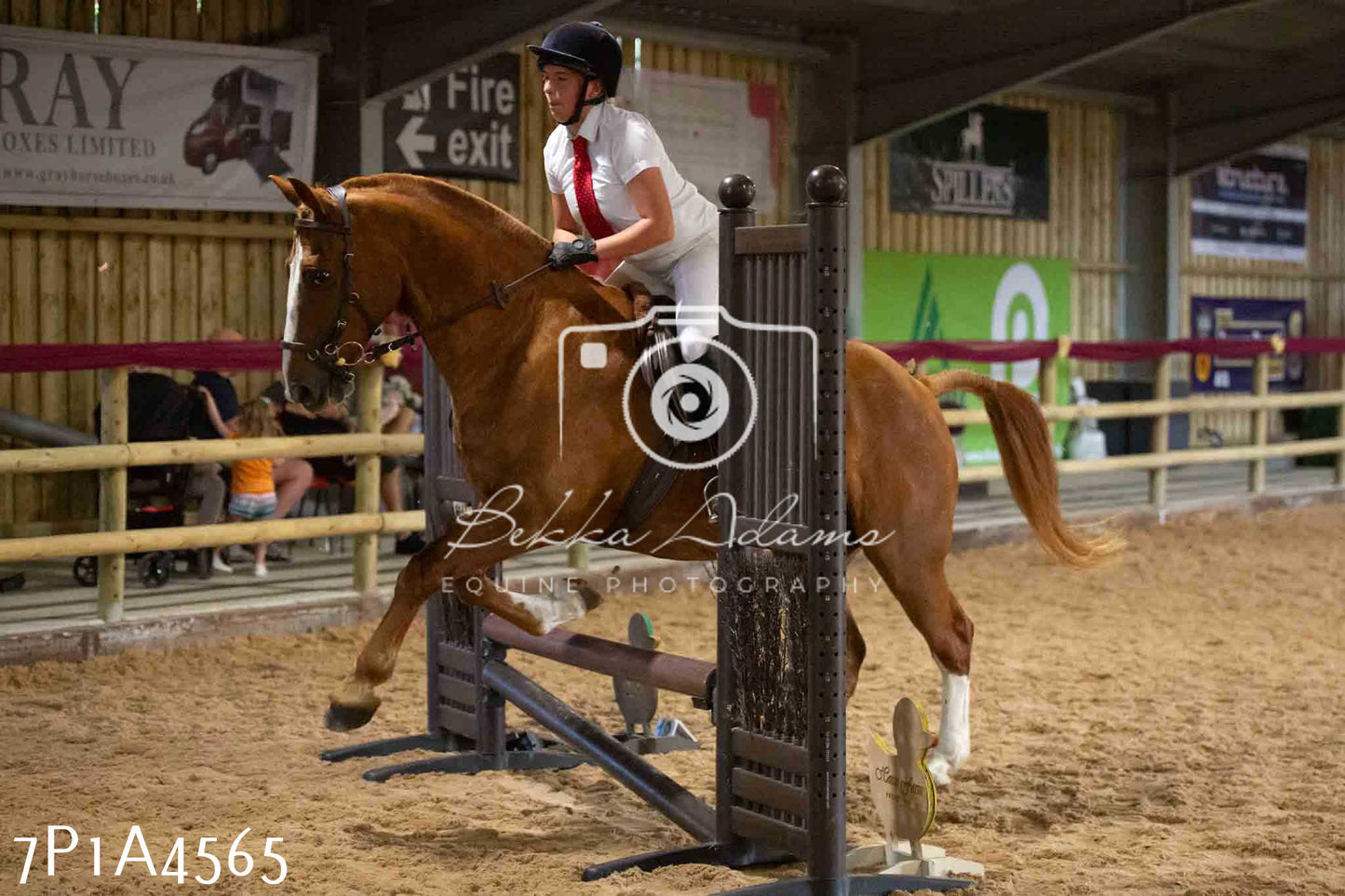 JHOYS 2023 - 9th September - Working Hunter