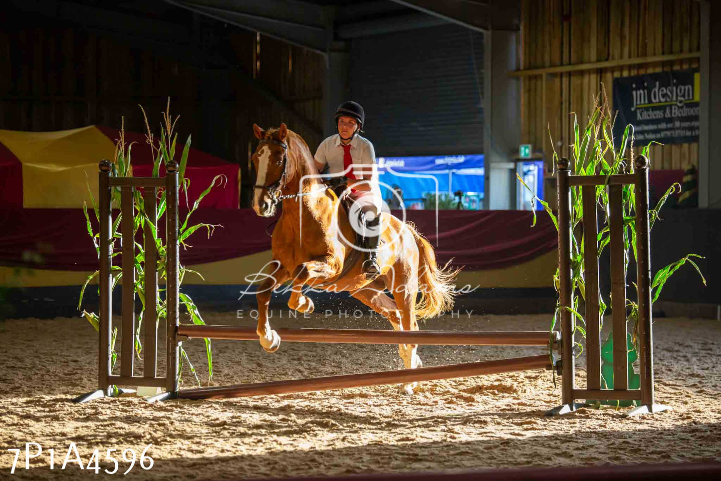 JHOYS 2023 - 9th September - Working Hunter