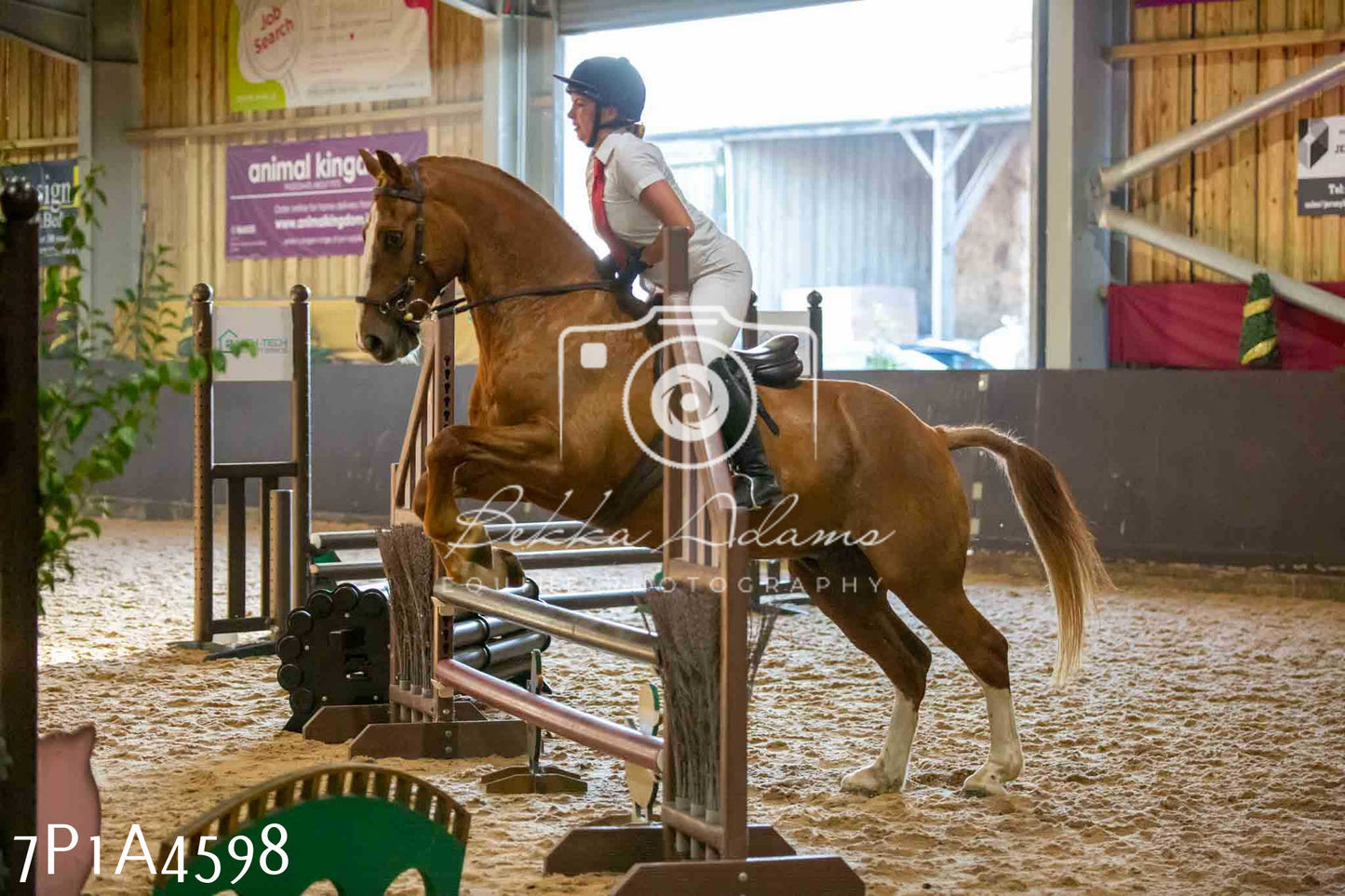 JHOYS 2023 - 9th September - Working Hunter