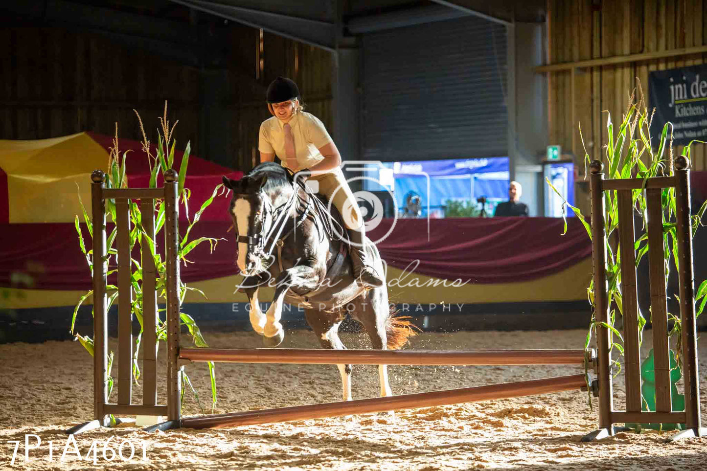 JHOYS 2023 - 9th September - Working Hunter