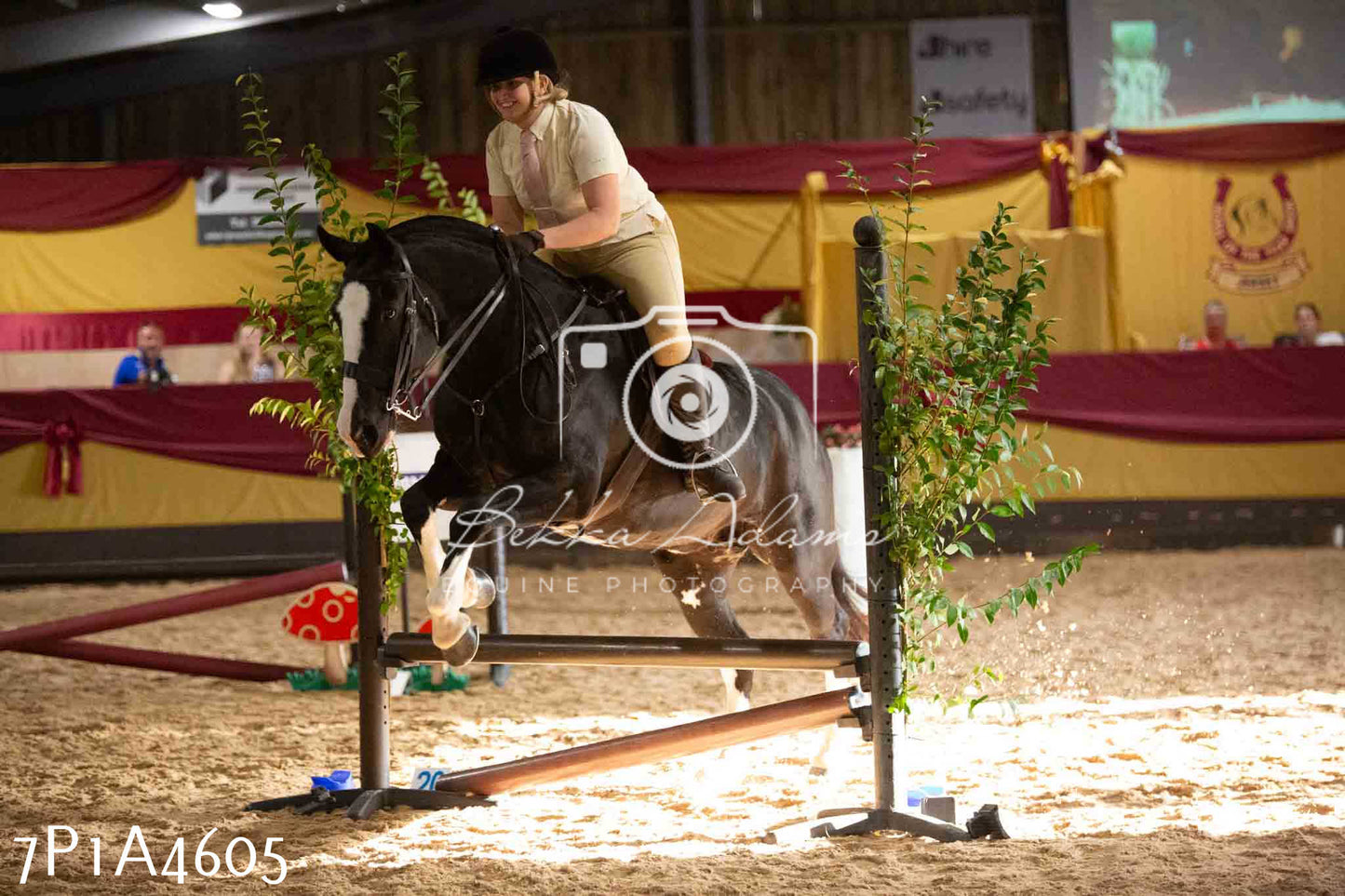 JHOYS 2023 - 9th September - Working Hunter