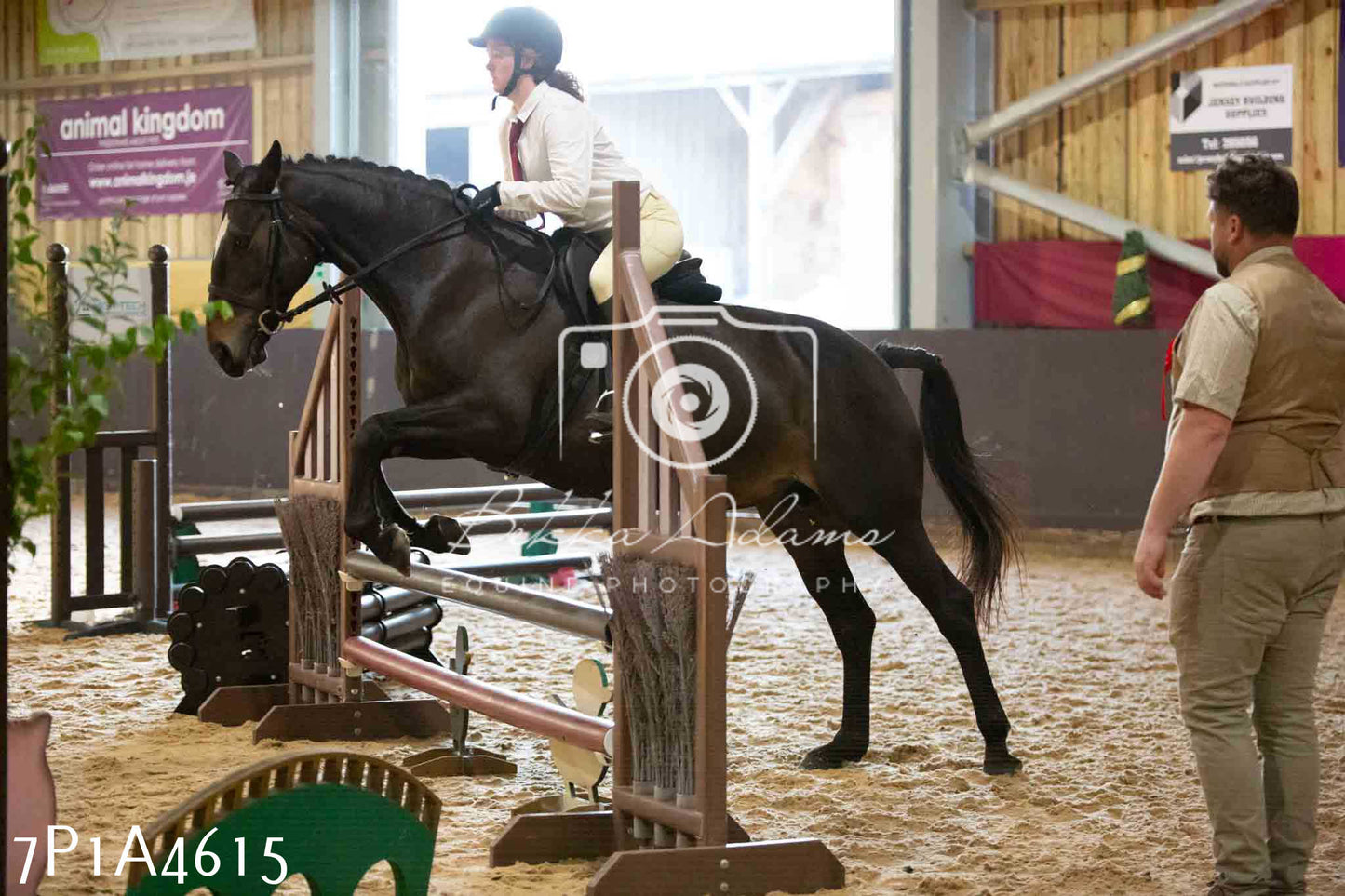 JHOYS 2023 - 9th September - Working Hunter