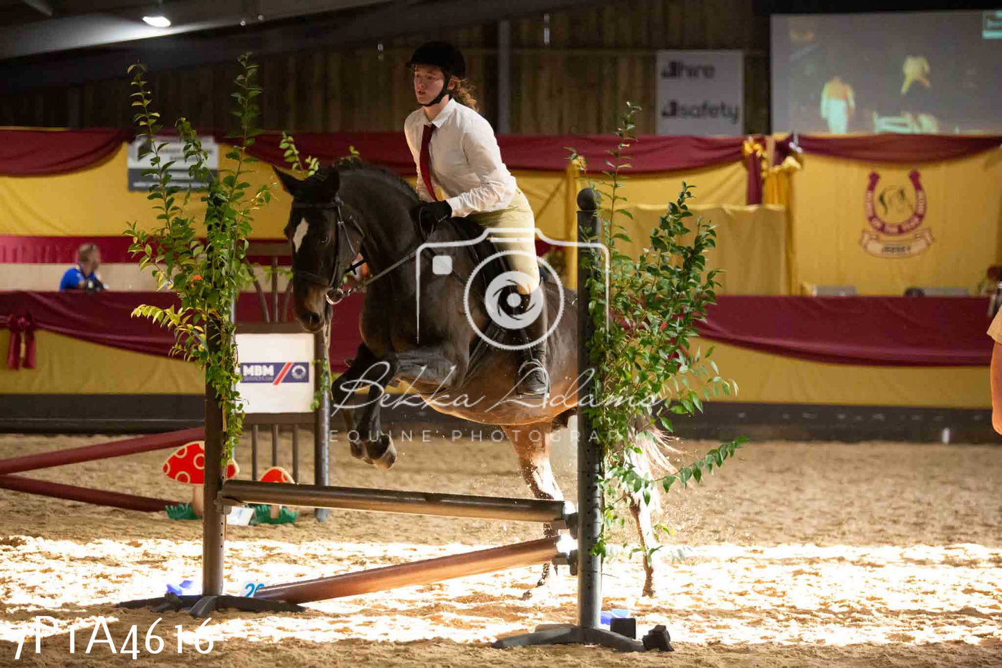 JHOYS 2023 - 9th September - Working Hunter