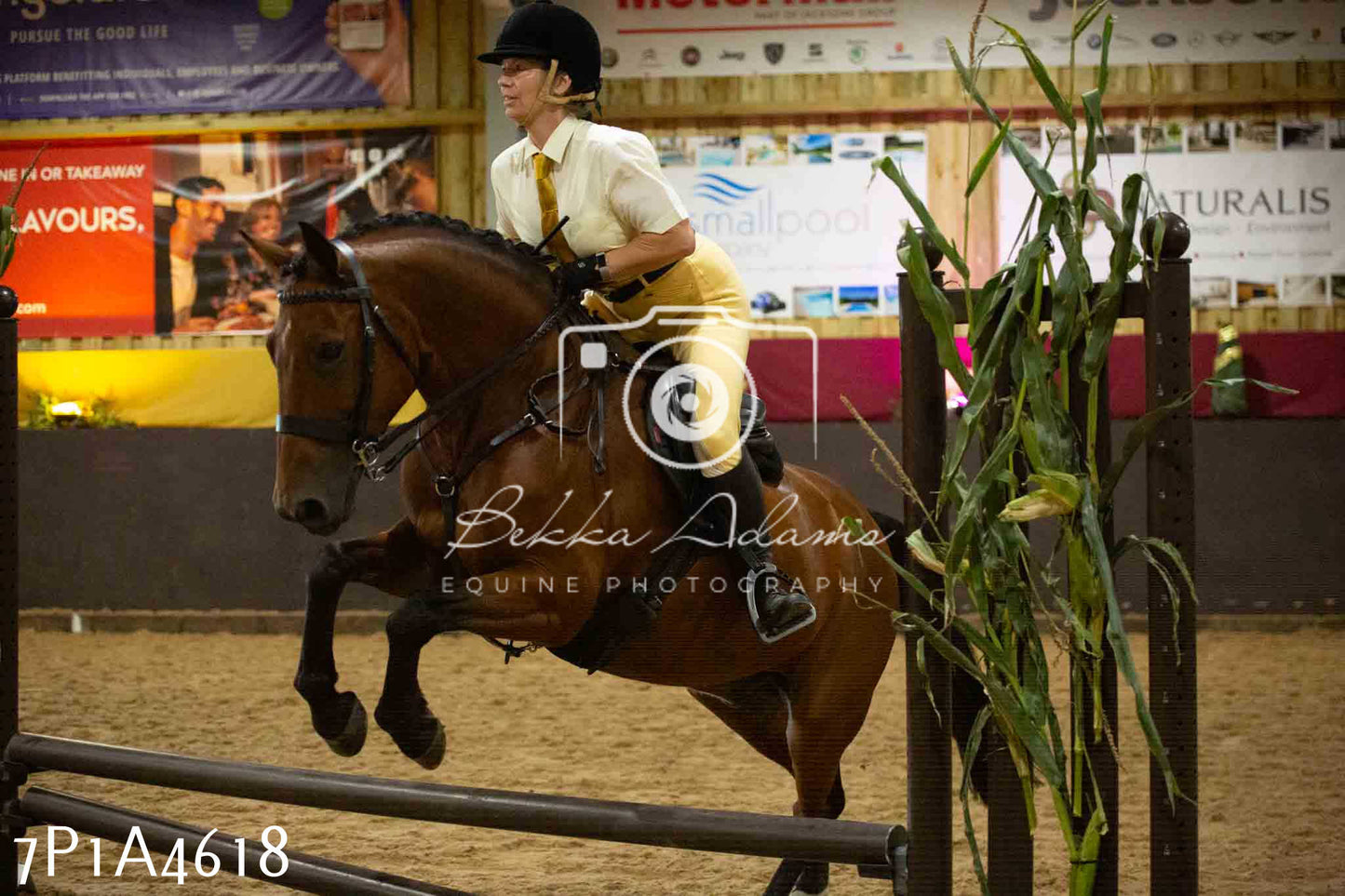 JHOYS 2023 - 9th September - Working Hunter