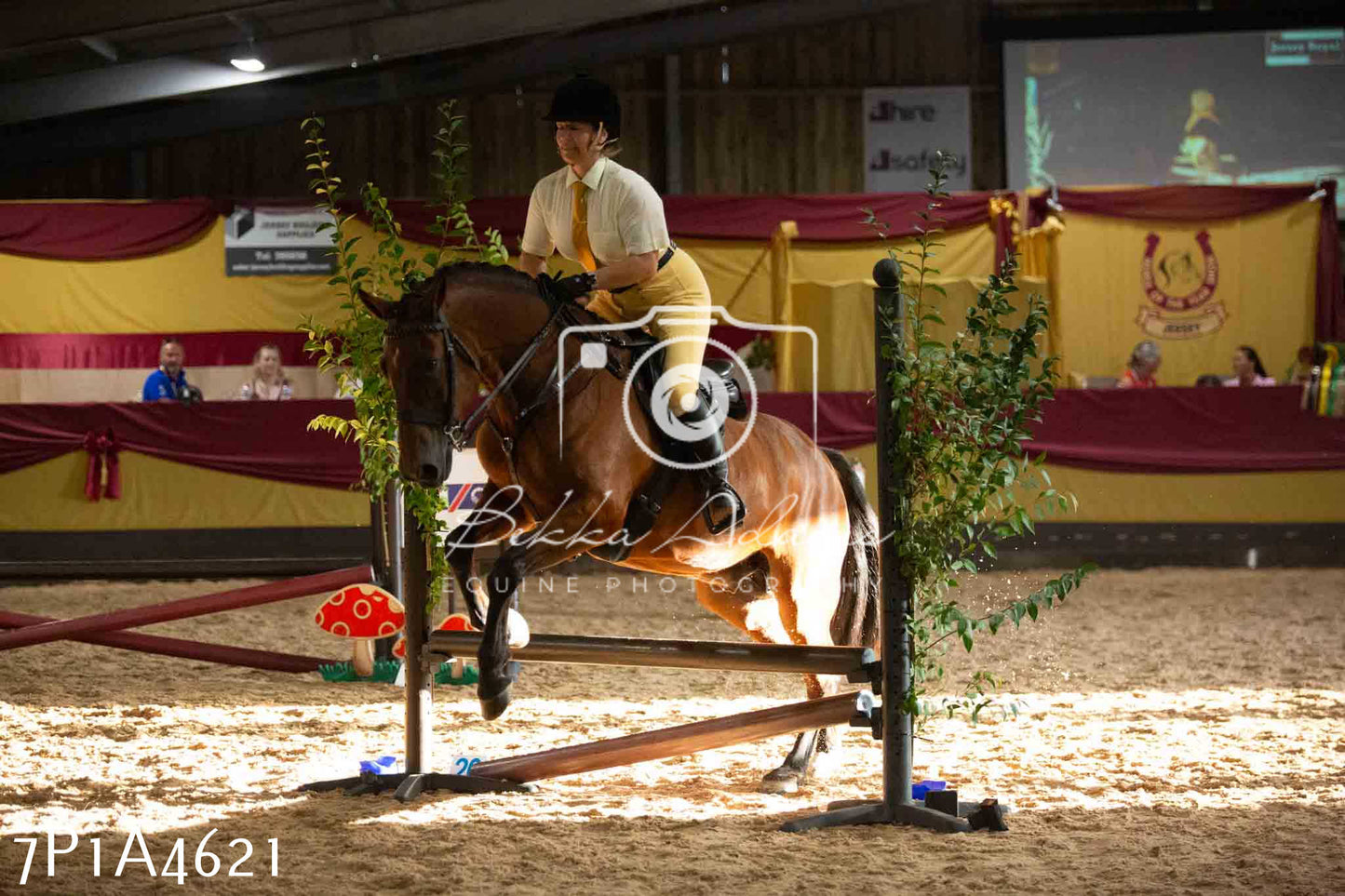 JHOYS 2023 - 9th September - Working Hunter