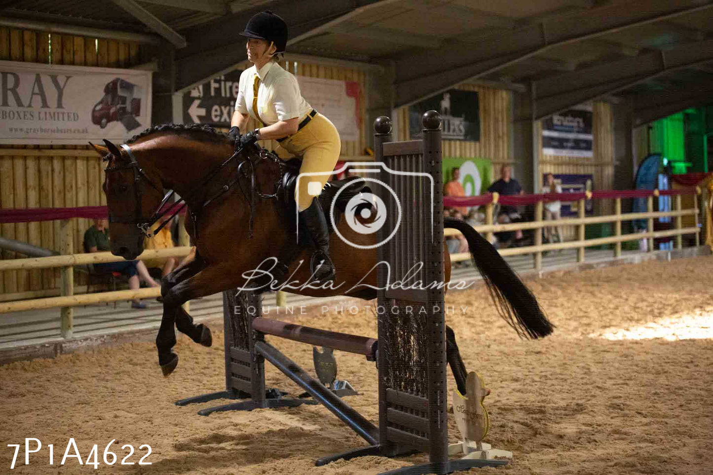 JHOYS 2023 - 9th September - Working Hunter