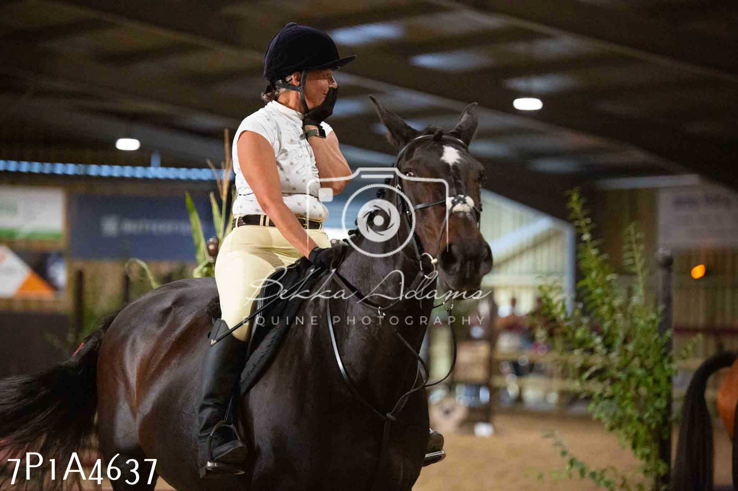 JHOYS 2023 - 9th September - Working Hunter