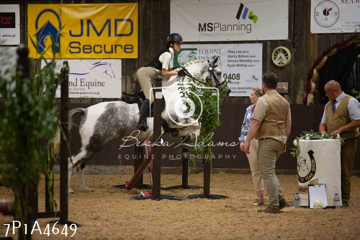 JHOYS 2023 - 9th September - Working Hunter