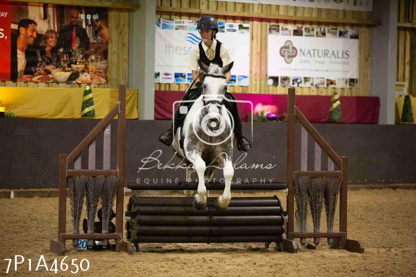 JHOYS 2023 - 9th September - Working Hunter